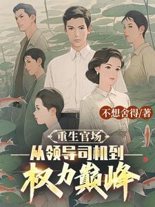重生官场仕途升迁
