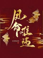 凤命小视频15