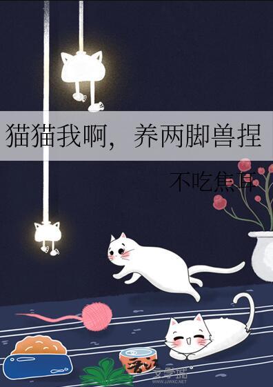 猫猫我啊养两脚兽捏155