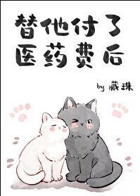 替他付了医药费后藏珠晋江