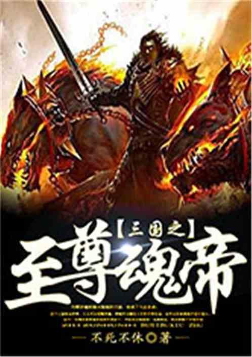 三国之至尊神魂