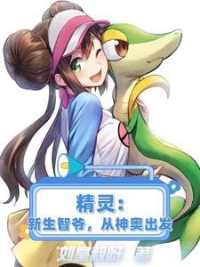 宠物小精灵之新生小智
