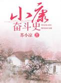 小康历史进程