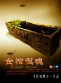 噬魂金蝎长什么样