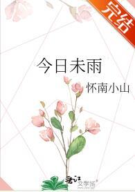 今日雨是什么意思