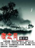 夜之月开服时间
