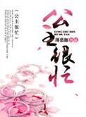 公主很忙讲的什么