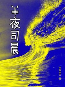 男主角叫司夜的