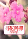 何处寻真相完整版