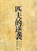 匹夫的逆袭2