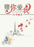 赌你爱我全文
