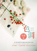 色调用什么字母表示