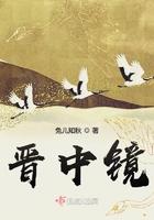 晋中镜大结局讲了啥