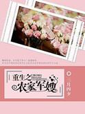 重生之农家俏军嫂