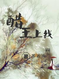 醋王什么意思