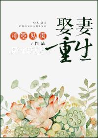 重生娶了很多老婆的